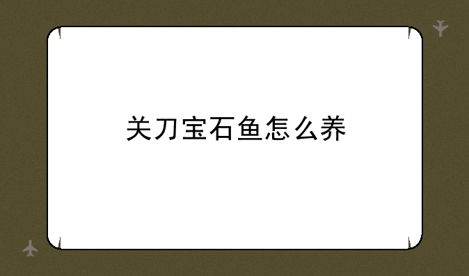 关刀宝石鱼怎么养