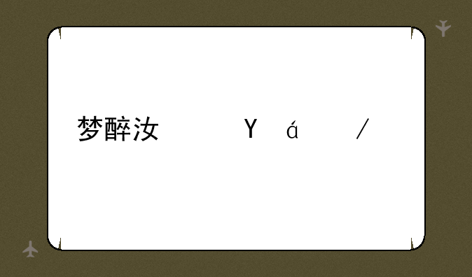 梦醉江湖txt下载
