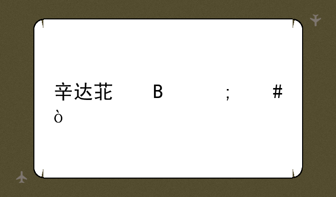 辛达苟萨怎么开