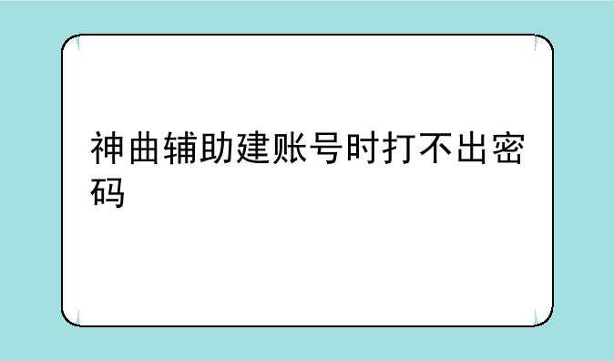 神曲辅助建账号时打不出密码