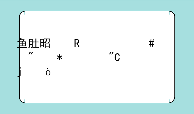 鱼肚是用什么部分加工成的？