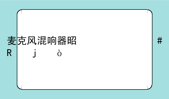 麦克风混响器是干什么用的？