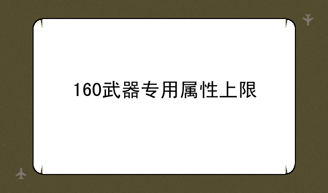 160武器专用属性上限