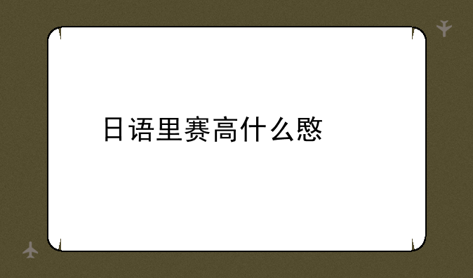 日语里赛高什么意思