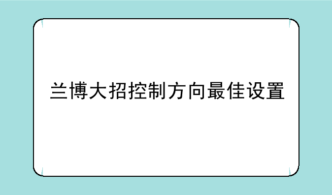 兰博大招控制方向最佳设置