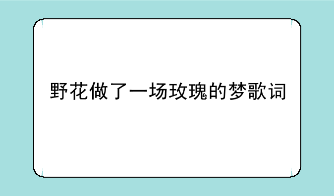 野花做了一场玫瑰的梦歌词