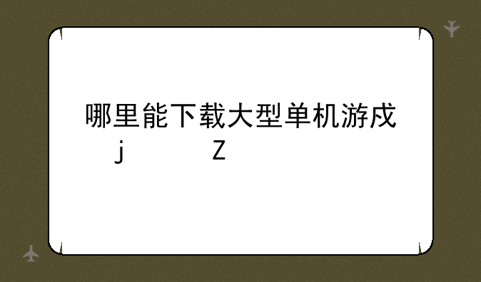 哪里能下载大型单机游戏的中文版、无毒的、安全的