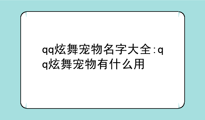 qq炫舞宠物名字大全:qq炫舞宠物有什么用