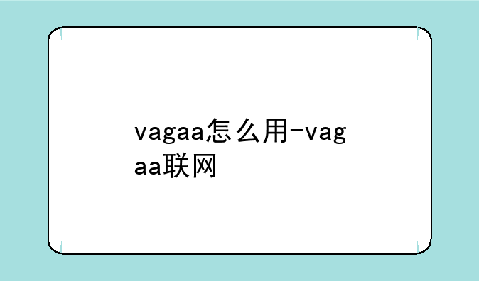 vagaa怎么用-vagaa联网
