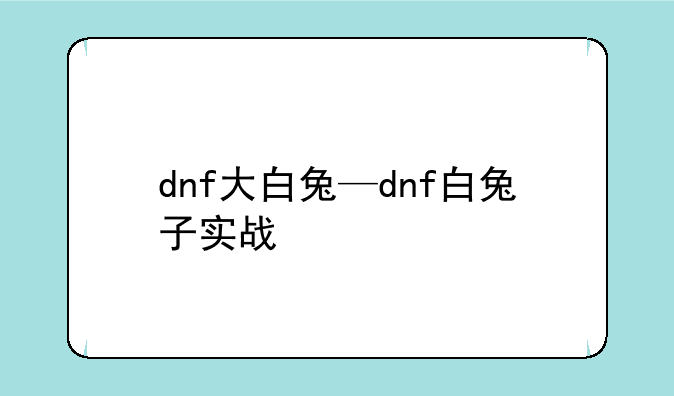 dnf大白兔—dnf白兔子实战