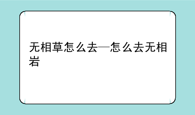 无相草怎么去—怎么去无相岩