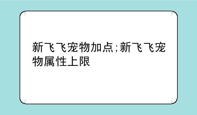 新飞飞宠物加点;新飞飞宠物属性上限
