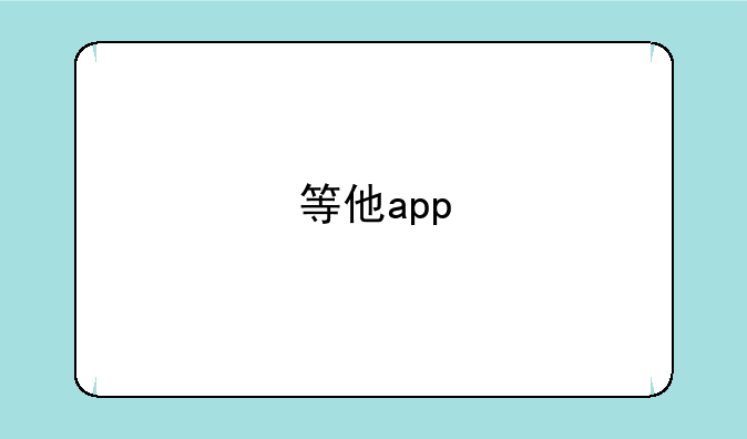 等他app