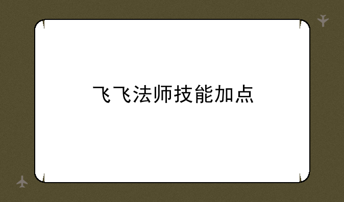 飞飞法师技能加点